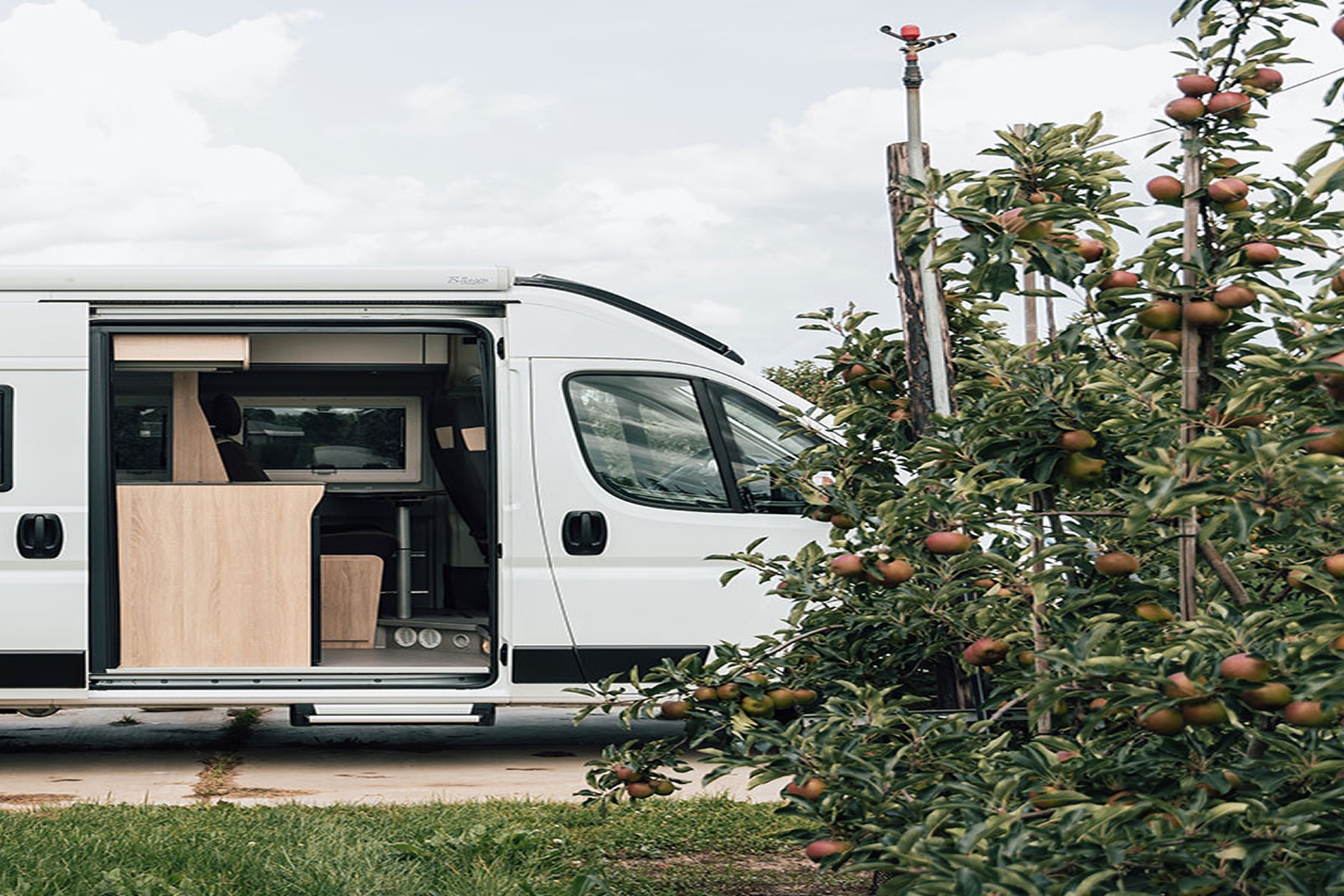 Gallery gallery_images_1_0_17580913691456520700.jpg  | Puur Vrijheid