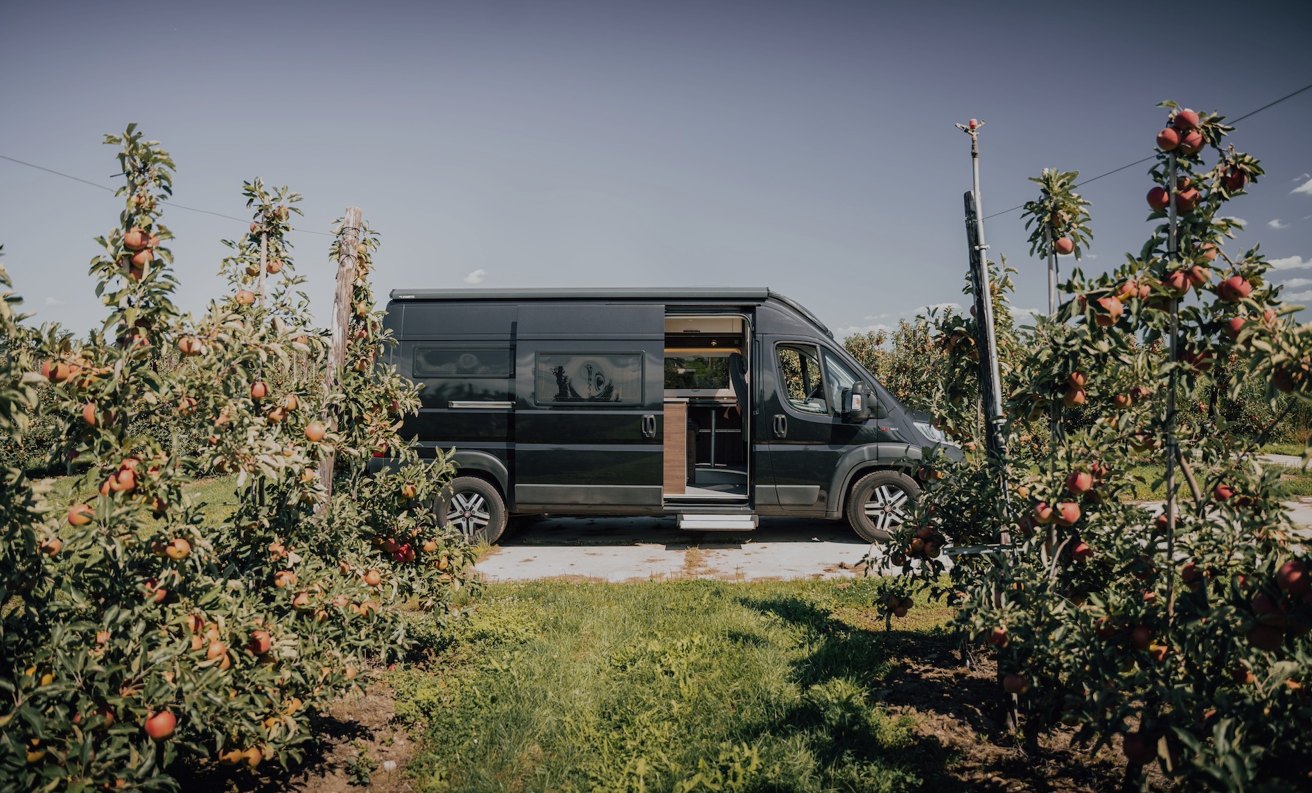 Header header_images_0_17588859421987105618.jpg Home | Puur Vrijheid